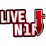 Logo - N1F_