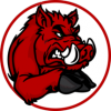 Streamer Image