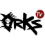 Logo - orks esports