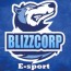 Logo - Blizzcorp Esport